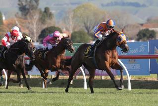 Melody Belle continues to amaze in the G1 Windsor Park Plate on Saturday at Hastings. 